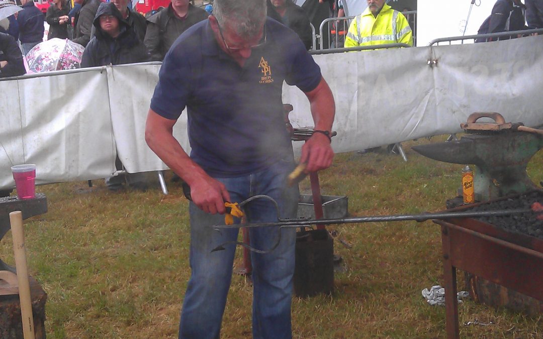 Live Show Champion at The New Forest & Hampshire County Show!